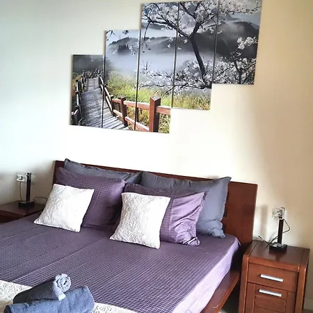 Apartment Santa Marina Village - Purple Harmony Sea View