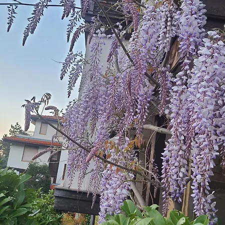 Santa Marina Village - Purple Harmony Sea View Daire Süzebolu